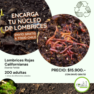 Núcleo de Lombrices